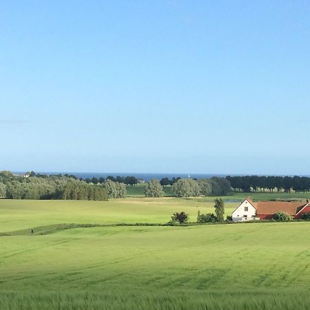 Garden Mellan Slotten Svarte 外观 照片