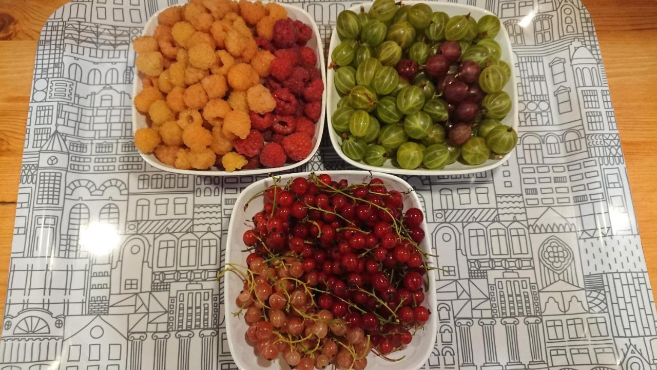 Garden Mellan Slotten Svarte 外观 照片
