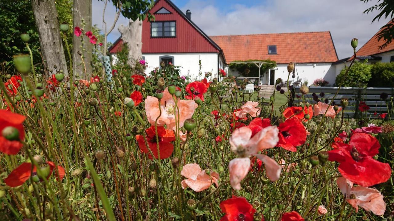 Garden Mellan Slotten Svarte 外观 照片