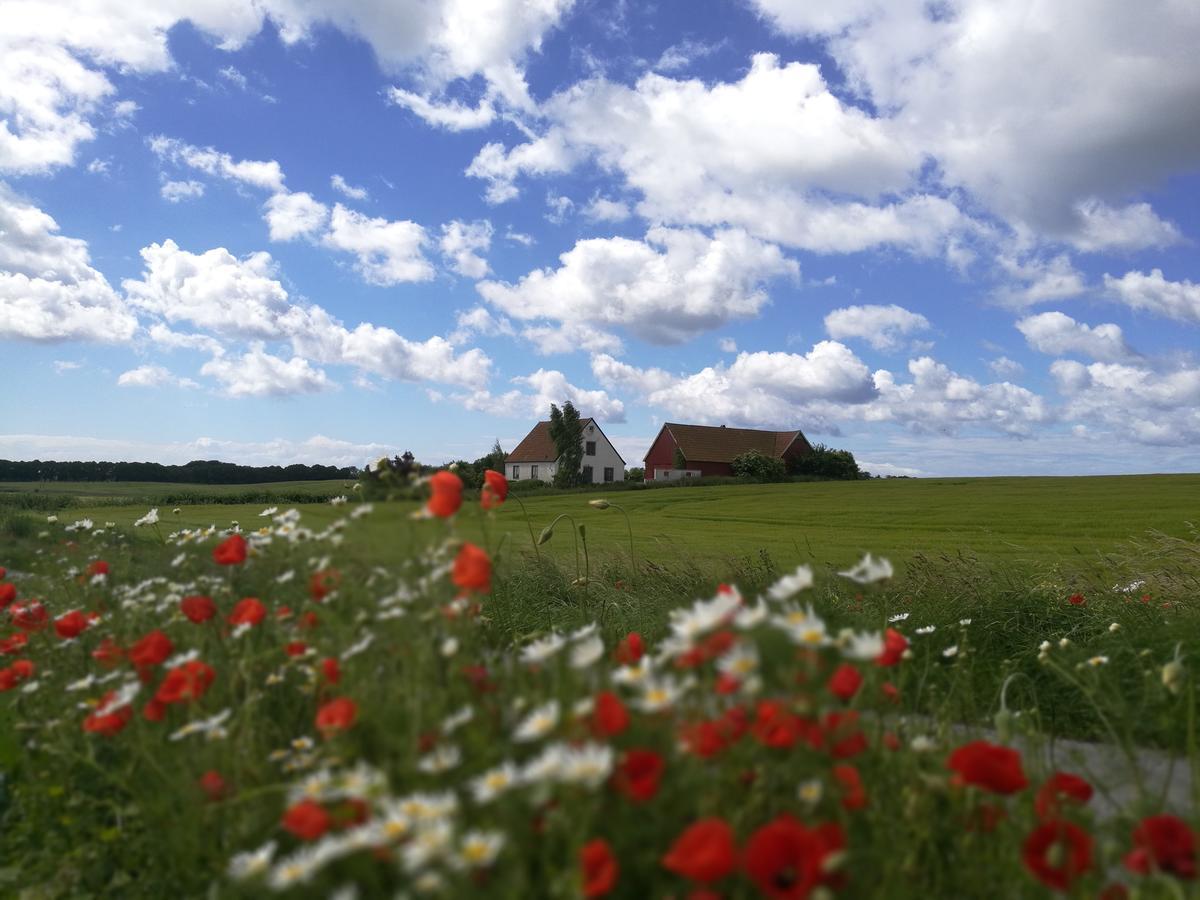 Garden Mellan Slotten Svarte 外观 照片