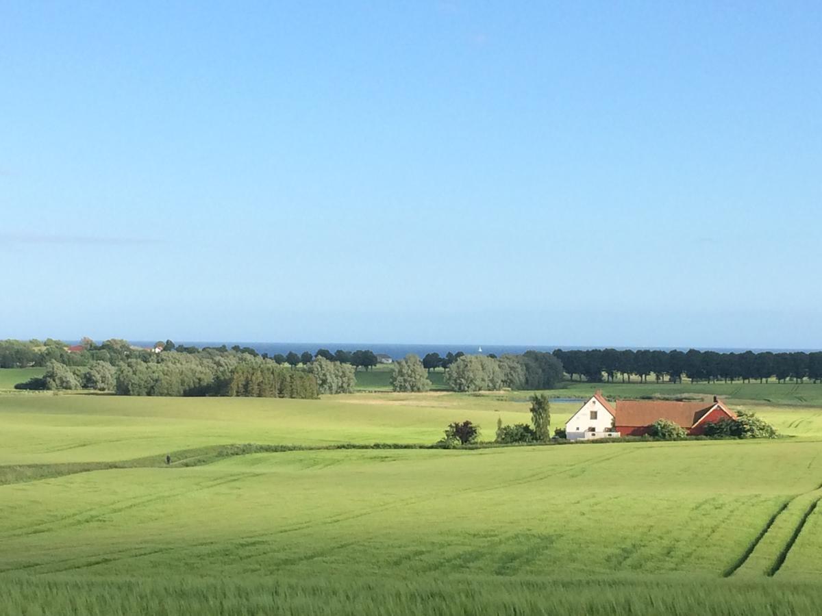 Garden Mellan Slotten Svarte 外观 照片