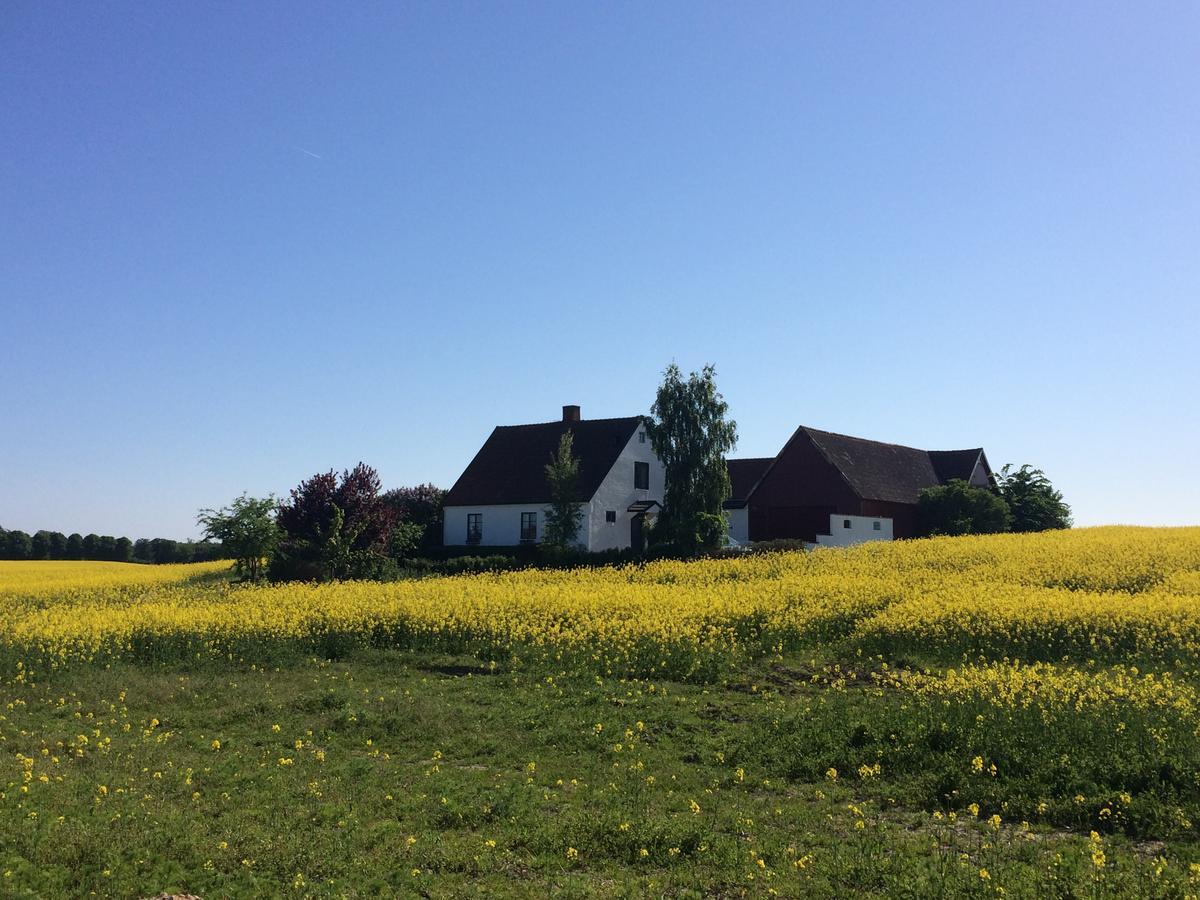 Garden Mellan Slotten Svarte 外观 照片