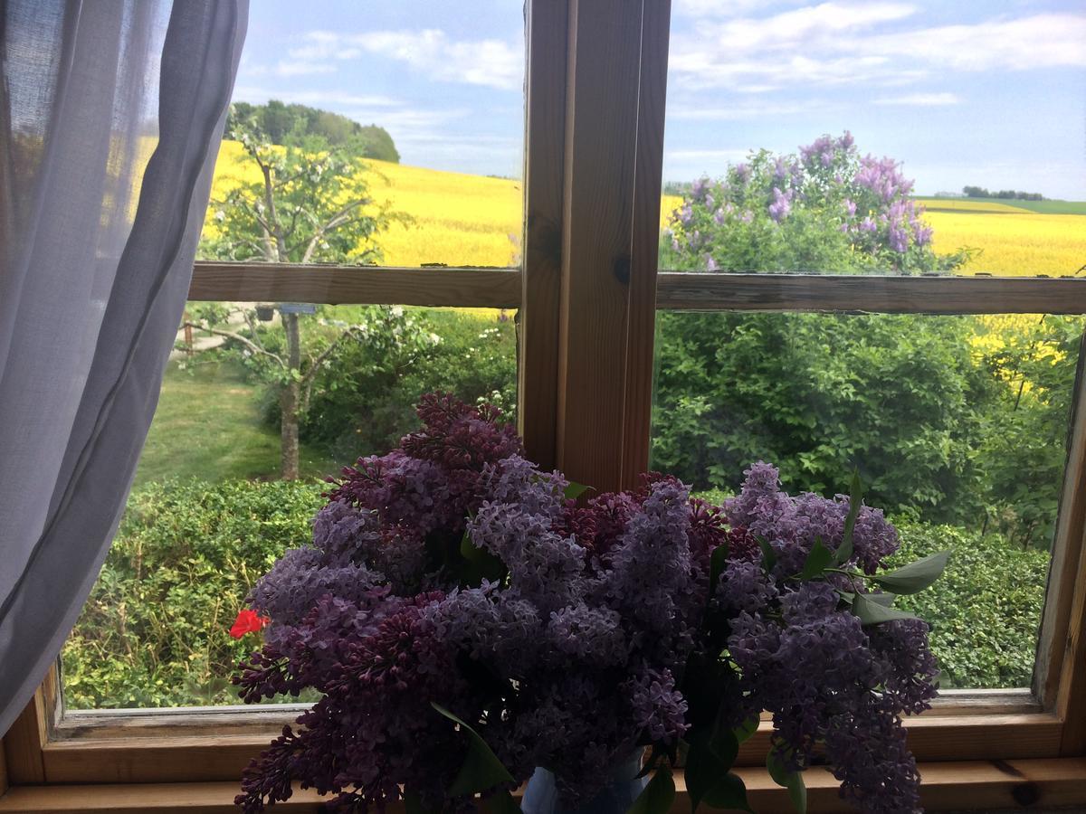 Garden Mellan Slotten Svarte 外观 照片