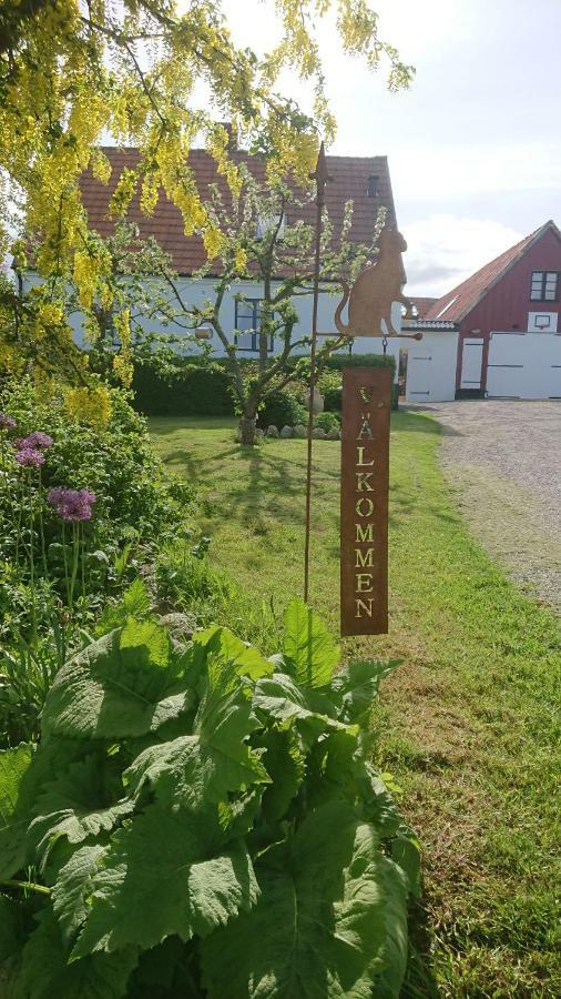 Garden Mellan Slotten Svarte 外观 照片