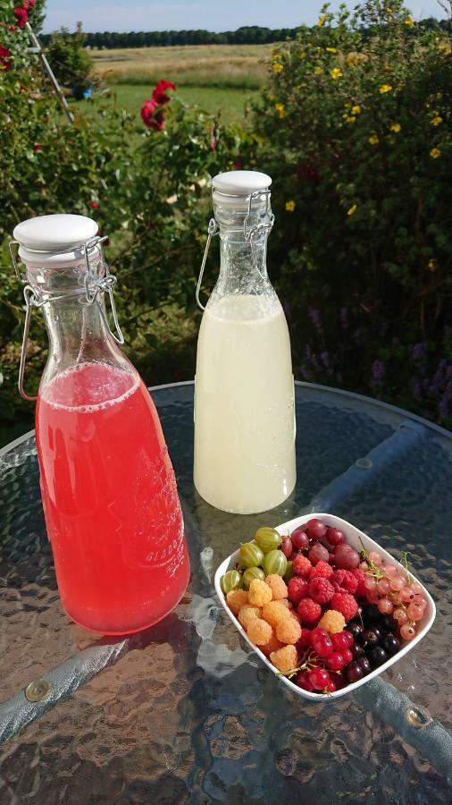 Garden Mellan Slotten Svarte 外观 照片