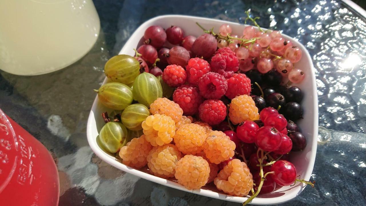 Garden Mellan Slotten Svarte 外观 照片
